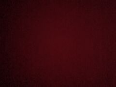 -周黑鸭(公园前站2分店)