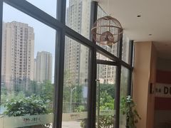-守柴炉烤鸭(鱼嘴店)