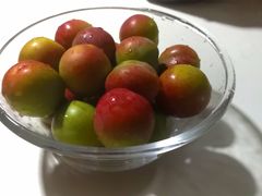 -樂桃源奉贤黄桃种植采摘基地