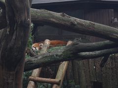 -云南野生动物园