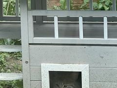 -青藏高原野生动物园