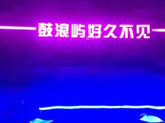 -好久不见网红乐队酒吧(鼓浪屿海底世界店)