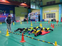 -长春乐奇平衡车儿童体能运动中心