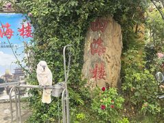 -四海楼(如皋定慧禅寺店)