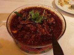 -天府乐园