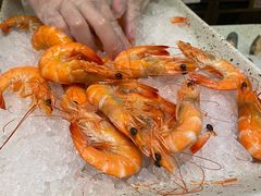 大虾-咖啡苑自助餐厅·中国大饭店