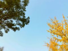 -洨河生态公园
