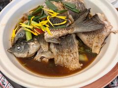 -龙悦湾酒家·八阵鱼生·渔人码头店