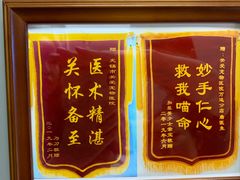 -关爱宠物医院·猫科中心·消化科(滨湖万达分院)