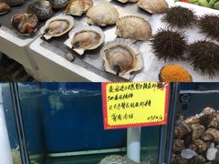 -蚝专家(北滘店)