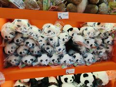 -熊猫邮局(少城店)