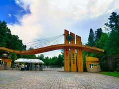 -五营红松林海景区