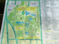 -九龙公园