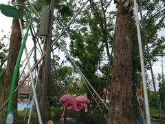 -苏州乐园森林水世界