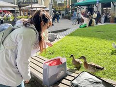 -Fergburger(皇后镇店)