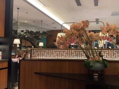 -新白鹿餐厅(松江开元地中海店)