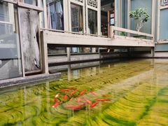 -海韵人家.海景花园经典云南菜(双廊店)