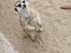 -长鹿旅游休博园