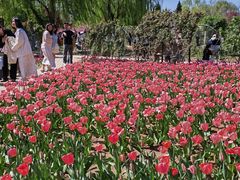 -石家庄市植物园