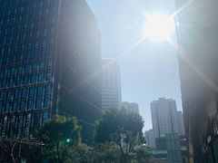 -陆家嘴世纪金融广场