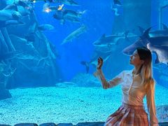 -多彩贵州城极地海洋世界