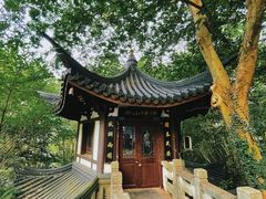 -上海佘山国家森林公园西佘山园