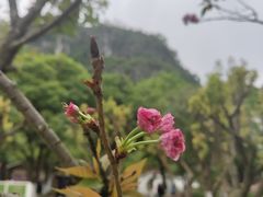 -南溪山景区