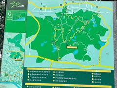-火炉山森林公园
