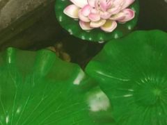 -外婆船宴餐厅·外婆喊你回家吃饭