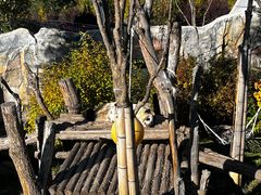 -青藏高原野生动物园
