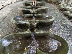-成都市活水公园