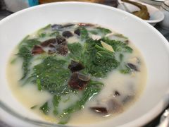 -鸽鸟轩(石岐店)