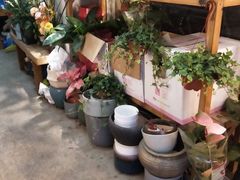 -双季花艺园艺市场(浦东店)
