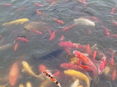 -中国农业博物馆