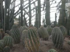 -南山植物园
