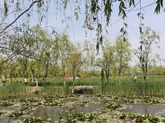 -永定河休闲森林公园