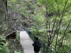 -洛阳白云山景区