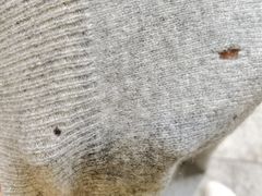 -曹树华专业无痕织补