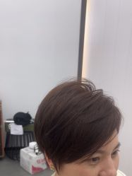 -T8 SALON