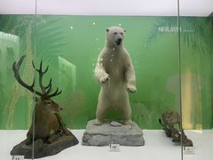 -国家自然博物馆