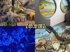 -中国西峡恐龙遗迹园