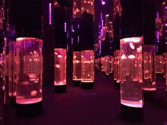 -成都浩海立方海洋公园