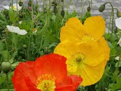 -森居forest休闲咖啡聚集地