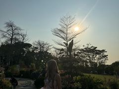 -东莞植物园