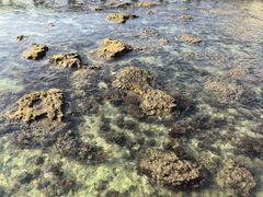 -三亚西岛海洋文化旅游区