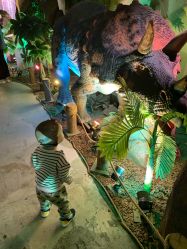 -恐龙探索乐园(磁器口店)