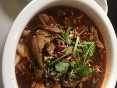 -中科大东区东苑餐厅(天使路店)