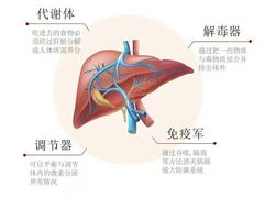 -裕和堂中医推拿艾灸(太古汇臻品店)