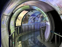 -房山世界地质公园博物馆
