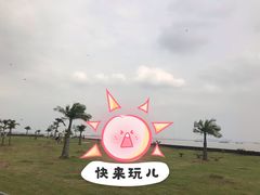 -海鸥岛